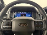 2025 F-150 Thumbnail 8