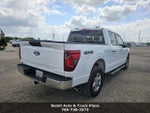 2025 F-150 Thumbnail 15