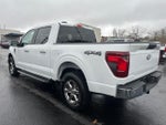 2025 F-150 Thumbnail 9
