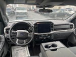 2025 F-150 Thumbnail 12