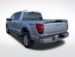 2025 F-150 Thumbnail 5