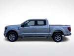 2025 F-150 Thumbnail 13
