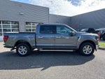 2025 F-150 Thumbnail 4