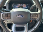 2025 F-150 Thumbnail 20