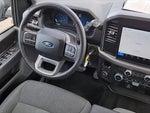 2025 F-150 Thumbnail 5