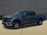 2025 F-150 Thumbnail 4