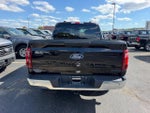2025 F-150 Thumbnail 4