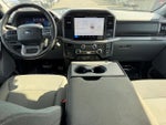 2025 F-150 Thumbnail 10