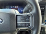 2025 F-150 Thumbnail 13