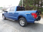 2025 F-150 Thumbnail 3