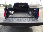 2025 F-150 Thumbnail 10