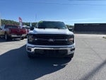 2025 F-150 Thumbnail 2
