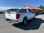 2025 F-150 Thumbnail 5