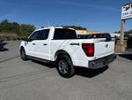 2025 F-150 Thumbnail 6