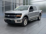2025 F-150 Thumbnail 1