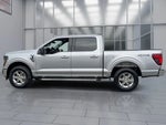 2025 F-150 Thumbnail 4