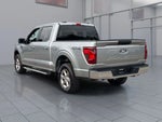 2025 F-150 Thumbnail 5