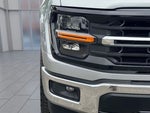 2025 F-150 Thumbnail 7