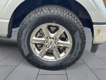 2025 F-150 Thumbnail 8