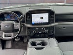 2025 F-150 Thumbnail 15