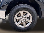 2025 F-150 Thumbnail 6