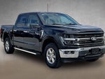 2025 F-150 Thumbnail 8