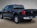 2025 F-150 Thumbnail 9