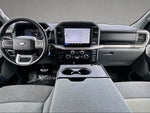 2025 F-150 Thumbnail 12