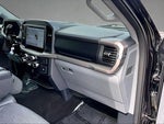 2025 F-150 Thumbnail 13