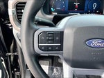 2025 F-150 Thumbnail 15