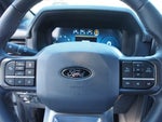 2024 F-150 Thumbnail 22
