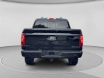 2024 F-150 Thumbnail 4