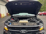 2024 F-150 Thumbnail 19