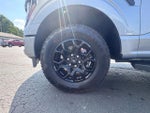 2024 F-150 Thumbnail 10