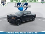 2024 F-150 Thumbnail 4