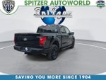 2024 F-150 Thumbnail 9