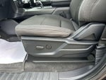 2024 F-150 Thumbnail 16