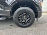 2024 F-150 Thumbnail 20