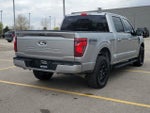 2024 F-150 Thumbnail 4