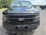2024 F-150 Thumbnail 4