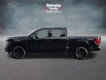 2024 F-150 Thumbnail 9