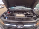 2024 F-150 Thumbnail 9