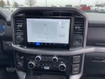 2025 F-150 Thumbnail 10