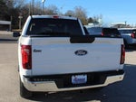 2025 F-150 Thumbnail 14