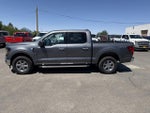 2025 F-150 Thumbnail 8