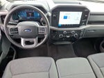 2025 F-150 Thumbnail 11