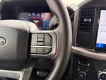 2025 F-150 Thumbnail 13
