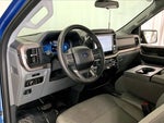 2025 F-150 Thumbnail 12