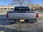 2025 F-150 Thumbnail 4