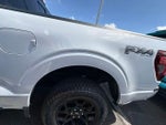 2025 F-150 Thumbnail 17